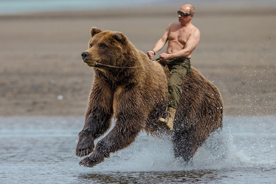 "Не хватает Путина верхом!" - животный трэш на матче третьего футбольного дивизиона