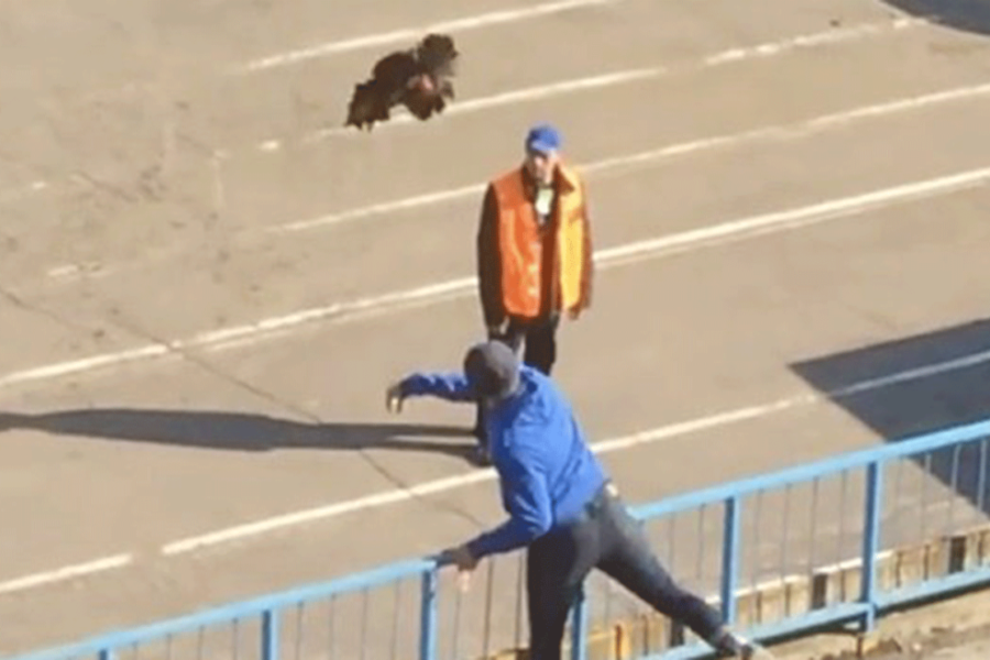 Медведи и петухи в российском футболе… этому необходимо положить конец